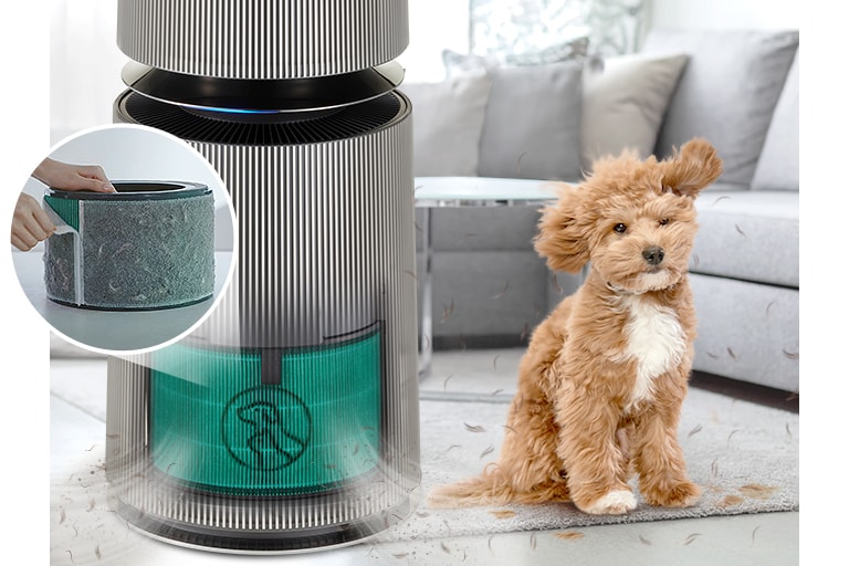 Better air. Less pet hair