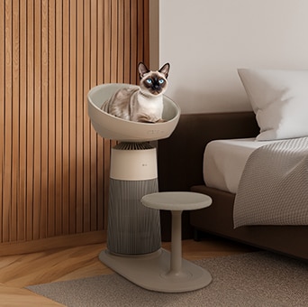 Heated dome seat - A warm, inviting space for your cat