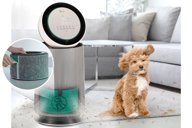 Better air. Less pet hair