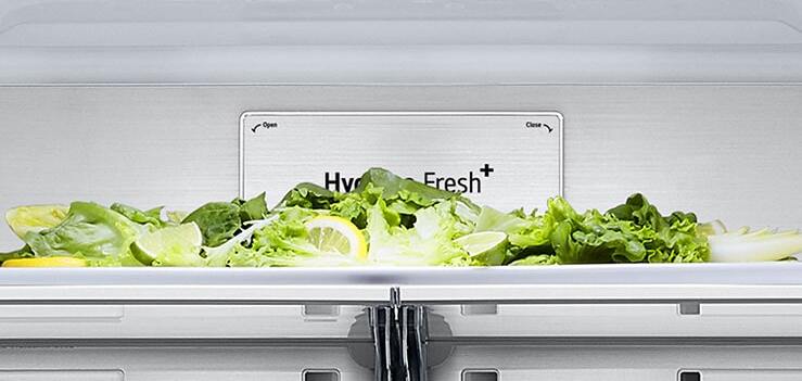 Close-up of Metal Fresh label inside the refrigerator.